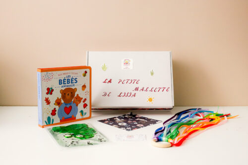 📦 Box Éveil Sensoriel – Les Bébés Animaux
